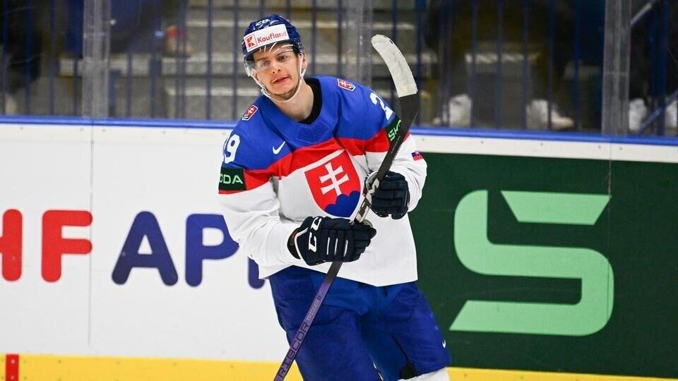 Michal Ivan je pravidelným účastníkem MS, foto: www.hcbilitygri.cz